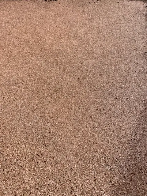 La même allée en gravillons, sans sa mousse.