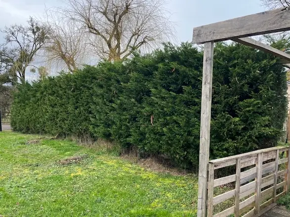 Une longue haie touffue, derrière un portique en bois.