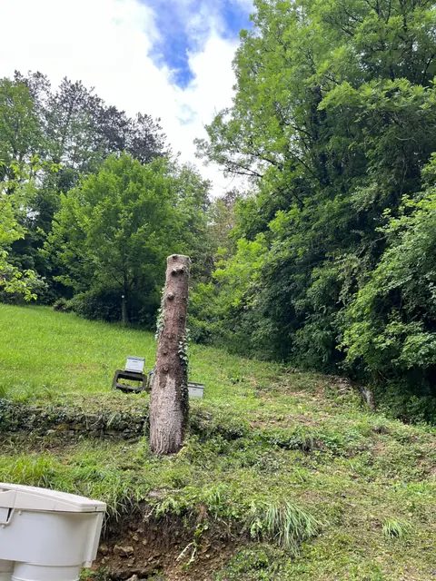 Un tronc laissé debout, ses branches coupées, au bord d'un talus.