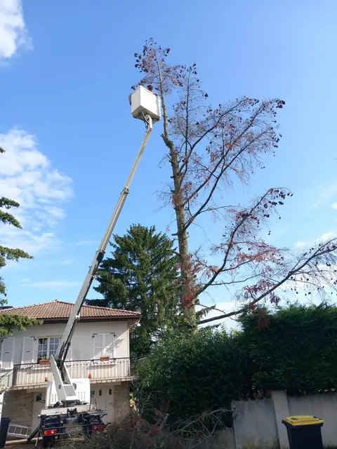 La nacelle déployée vers un grand arbre, devant une maison.
