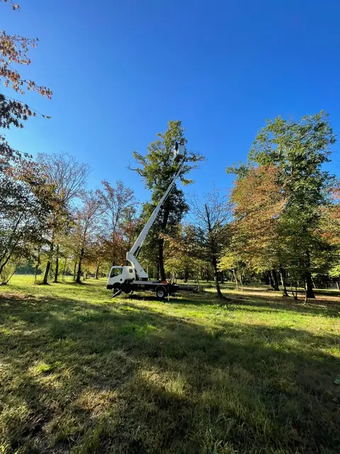 Le camion-nacelle dans un parc de grands arbres, sous un ciel bleu.