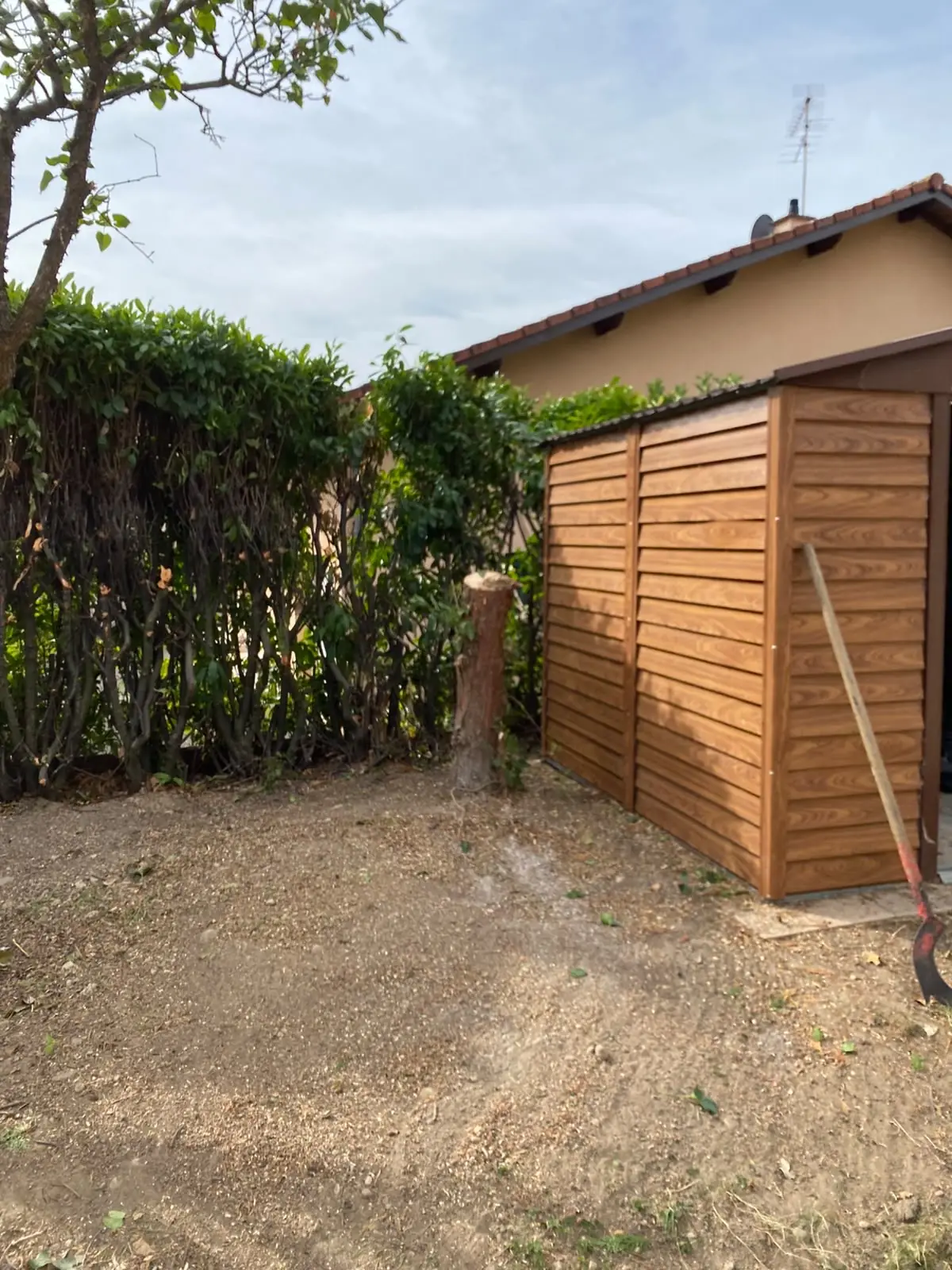 Au pied d'une haie, un tronc d'arbre coupé et le sol dégagé, à côté d'un abri de jardin en bois, une pelle posée contre lui.